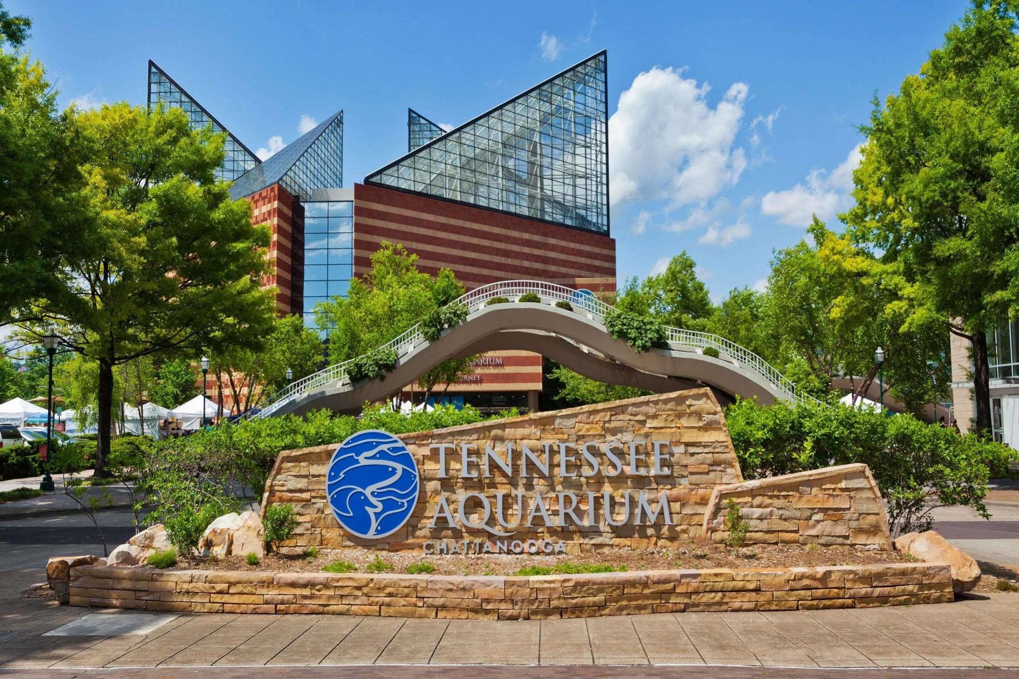 Super 8 By Wyndham Chattanooga Lookout Mountain Tn Exterior photo